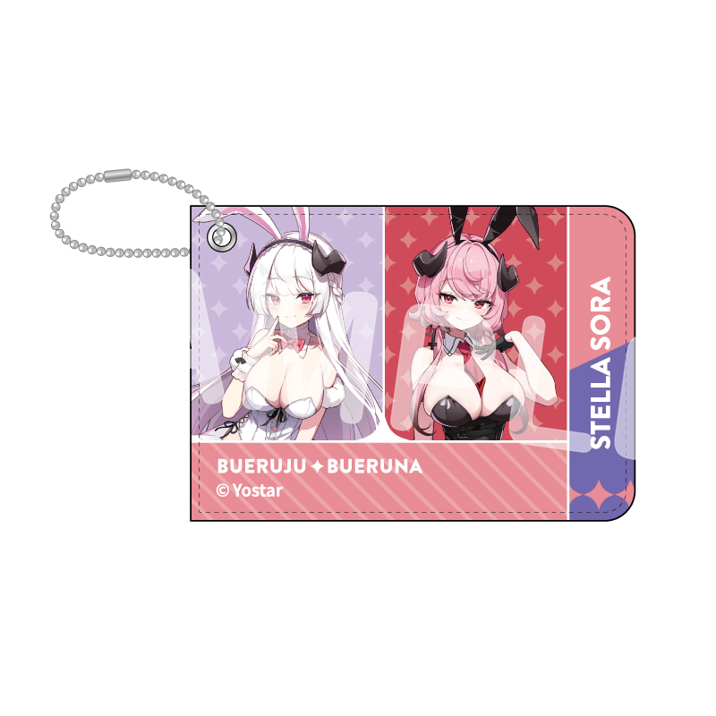 ステラソラ 青空旅券風パスケース ヴェルジュ＆ヴェルナー